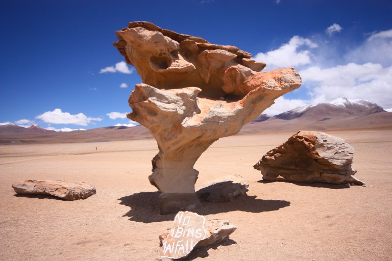 Arbol de Piedra