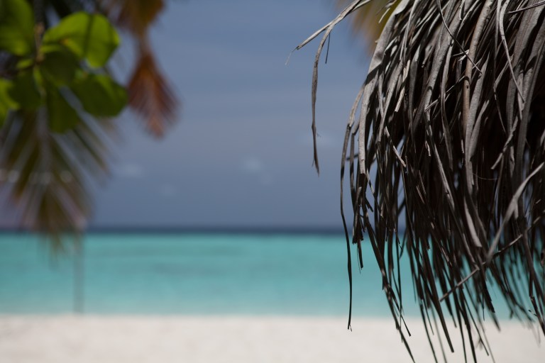 Maldives Beach II