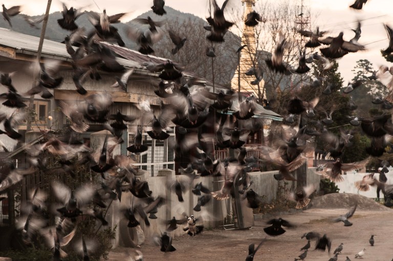 TAllen-2012-12-24-1221