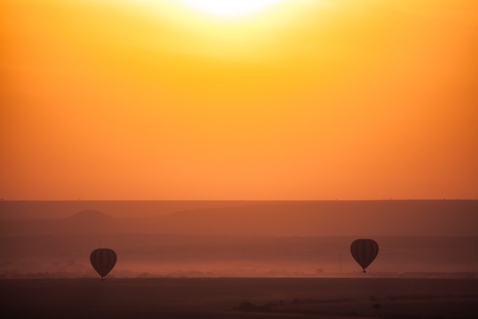 TAllen-2013-07-15-2955