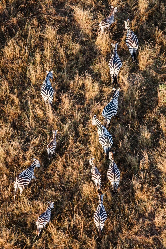 TAllen-2013-07-15-2977