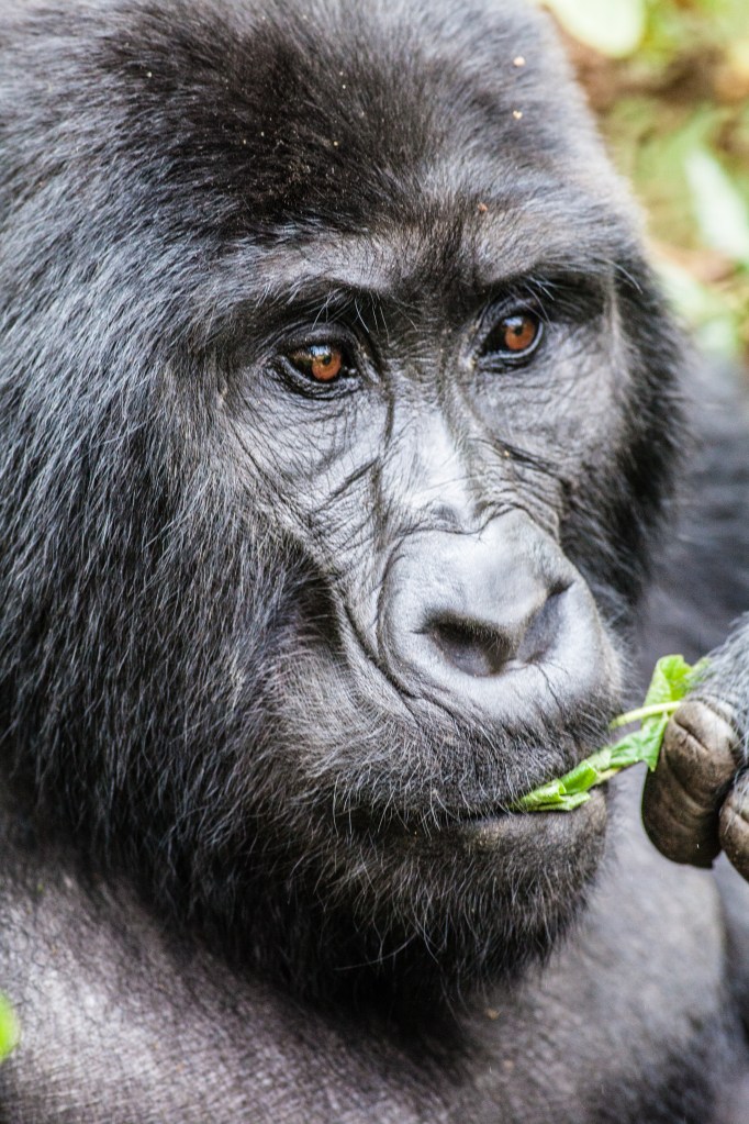 TAllen-2013-07-20-3194