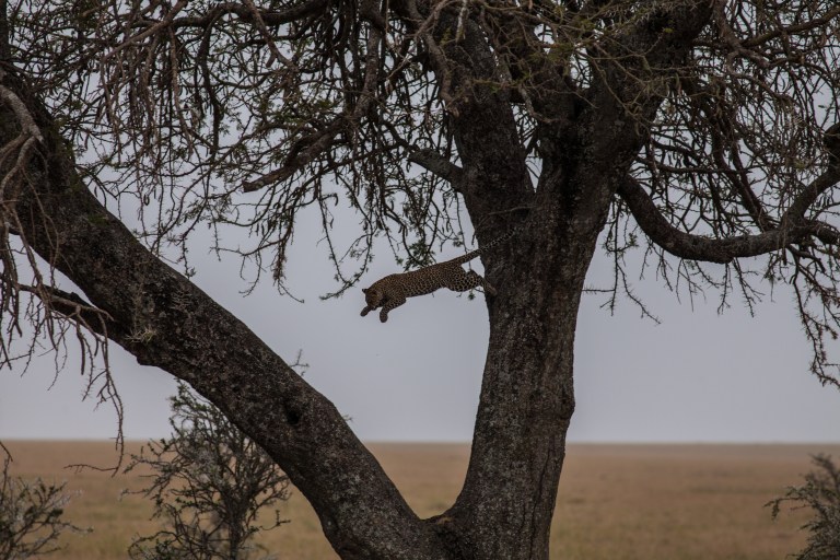 TAllen-2013-07-31-3748