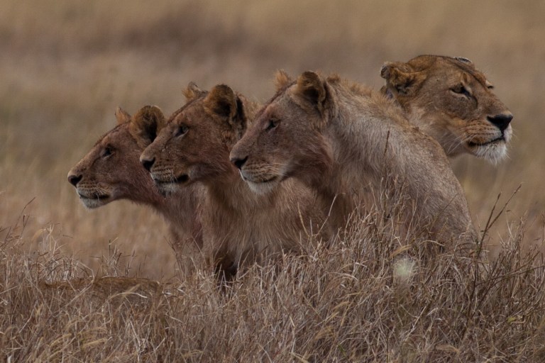 TAllen-2013-07-31-3858