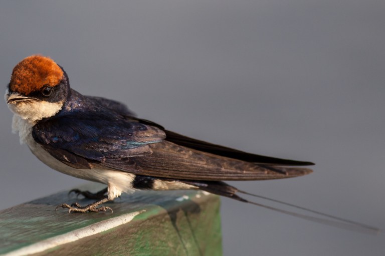 TAllen-2013-08-20-4679