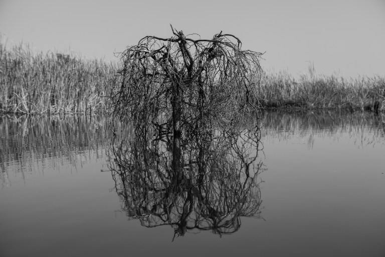 TAllen-2013-08-22-4842