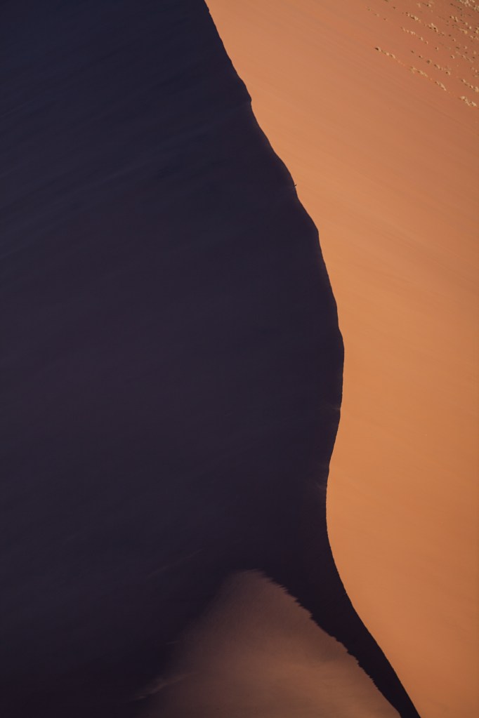 TAllen-2013-09-03-5608