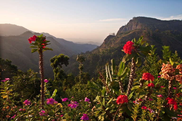 TAllen-2012-07-28-8808