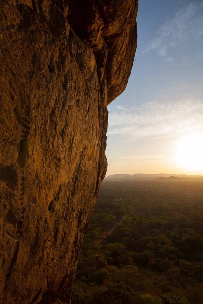 TAllen-2012-07-31-9526