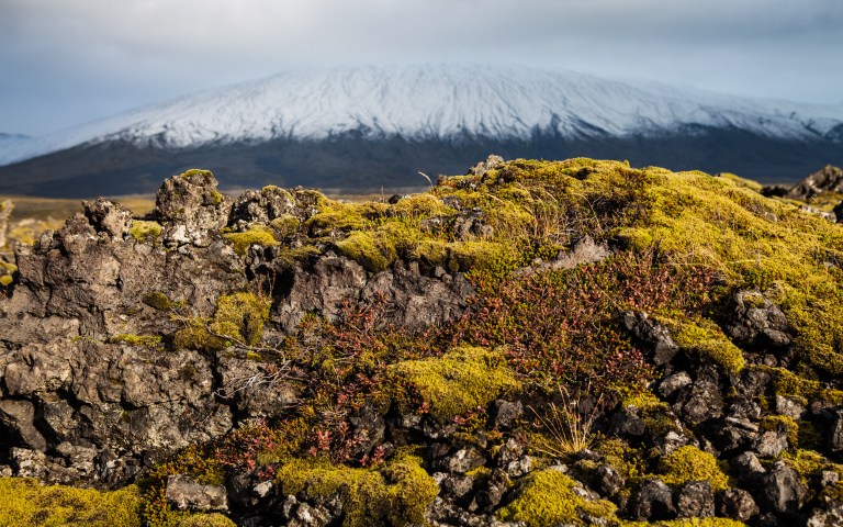 TAllen-2014-10-05-7594