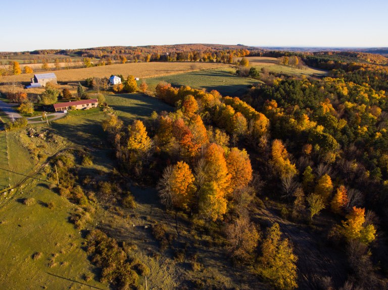 TAllen-2015-10-23-0085