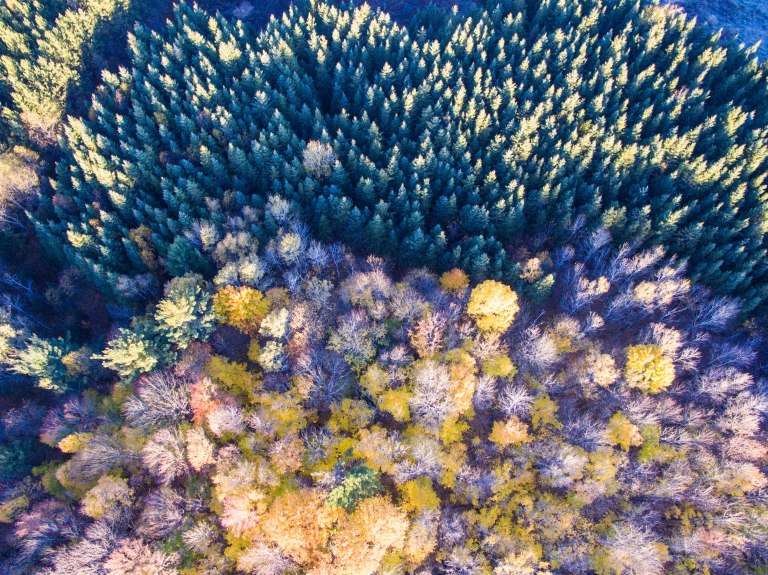 TAllen-2015-10-23-0090