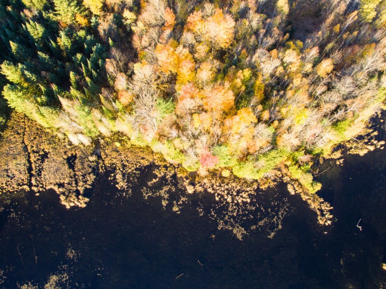 TAllen-2015-10-23-0094