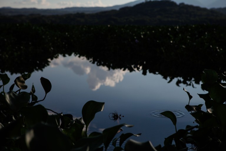 TAllen-2015-11-05-2173