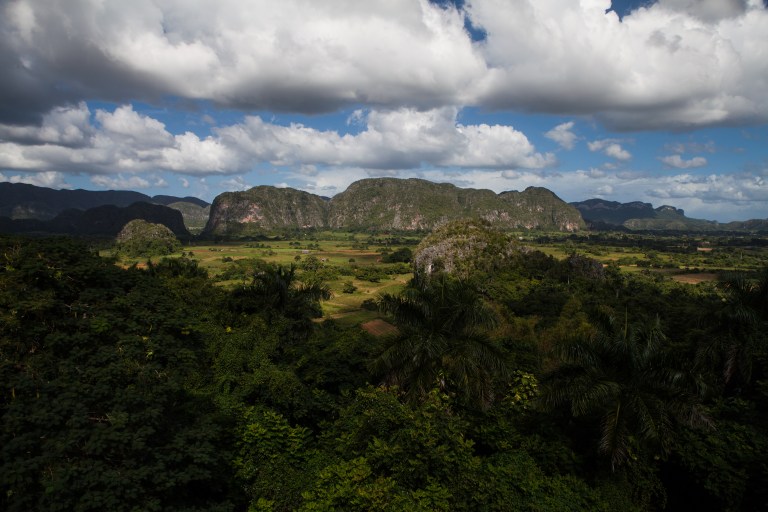 TAllen-2015-11-28-2412