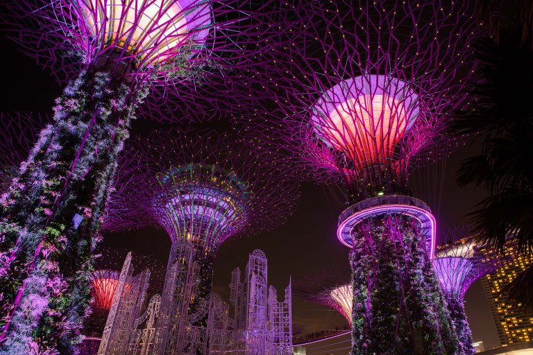 tallen-2016-11-15-5581-2