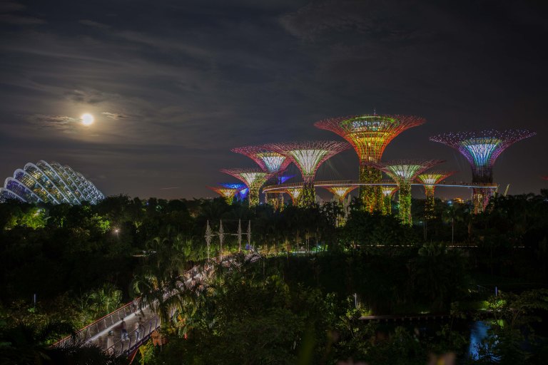 tallen-2016-11-15-5619