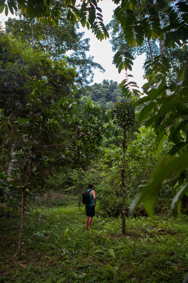 TAllen-2017-08-07-8490