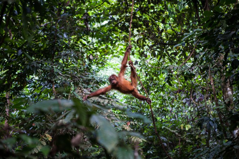 TAllen-2017-08-07-8666