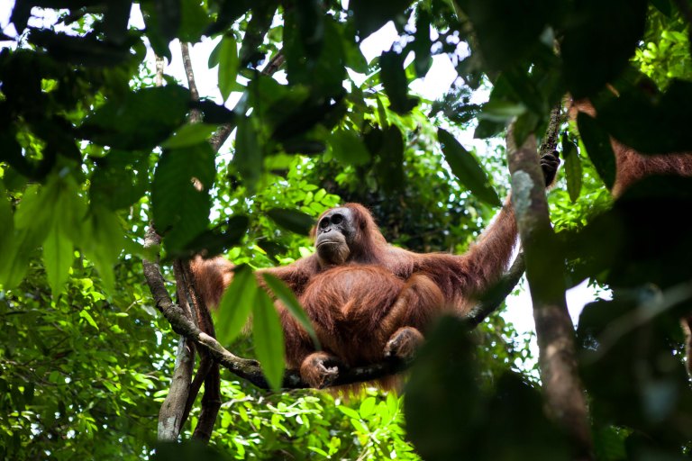 TAllen-2017-08-08-8793