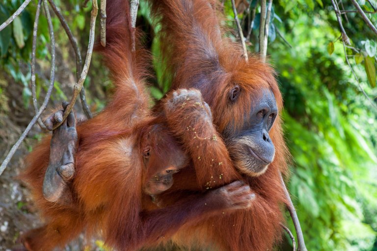 TAllen-2017-08-08-8834