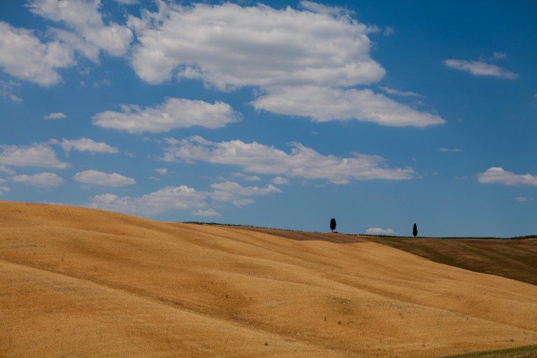 TAllen-2017-06-20-8085