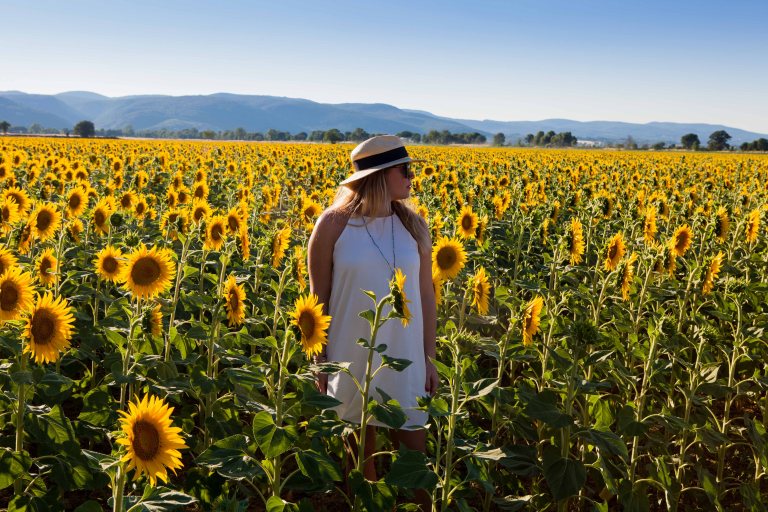 TAllen-2017-06-21-8120