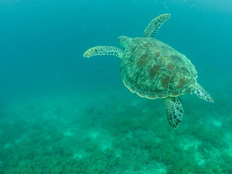 DCIM100GOPROG0379923.