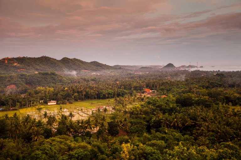 TAllen-2018-01-04-2124