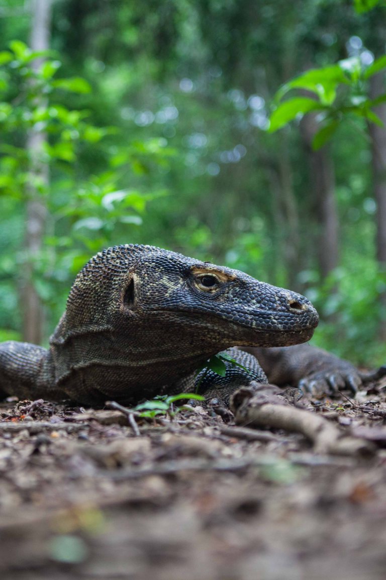 TAllen-2018-01-10-2611