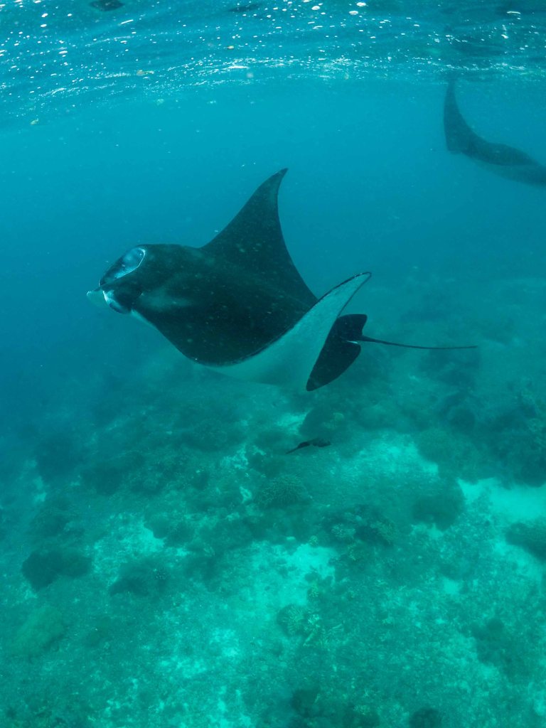 DCIM100GOPROG0080442.