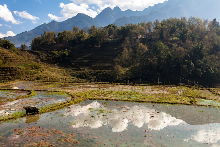 TAllen-2018-02-24-4376