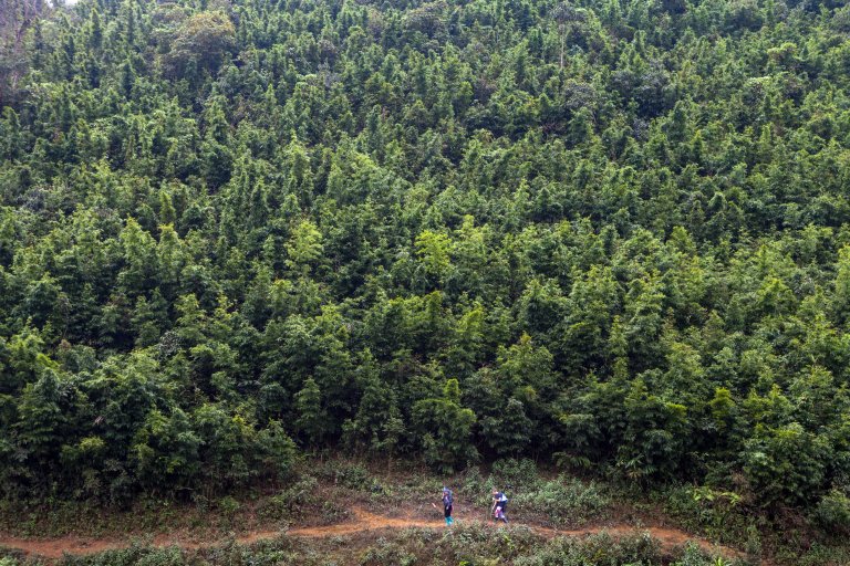 TAllen-2018-02-25-4518