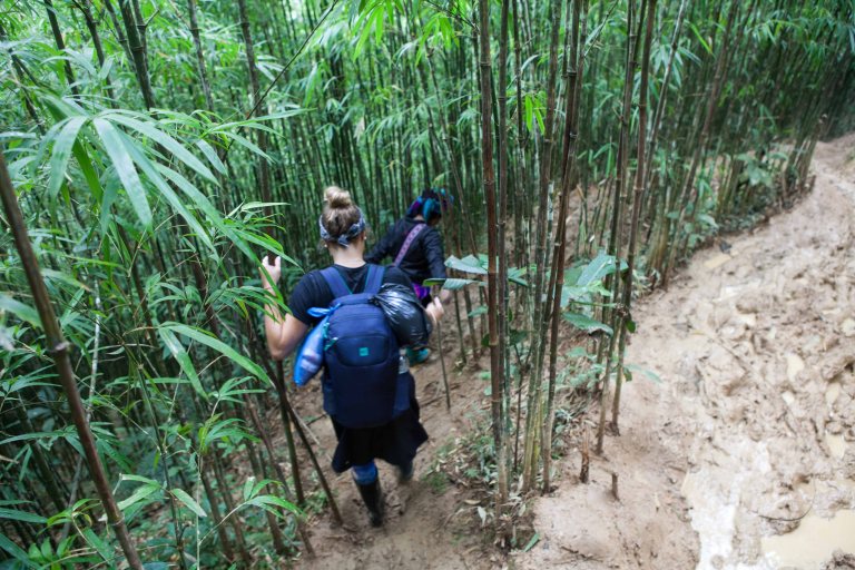 TAllen-2018-02-25-4595