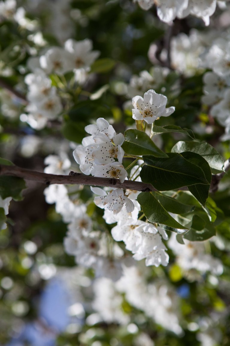 TAllen-2018-04-10-6566