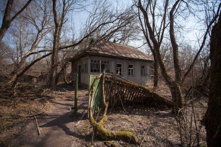 TAllen-2018-04-13-6660