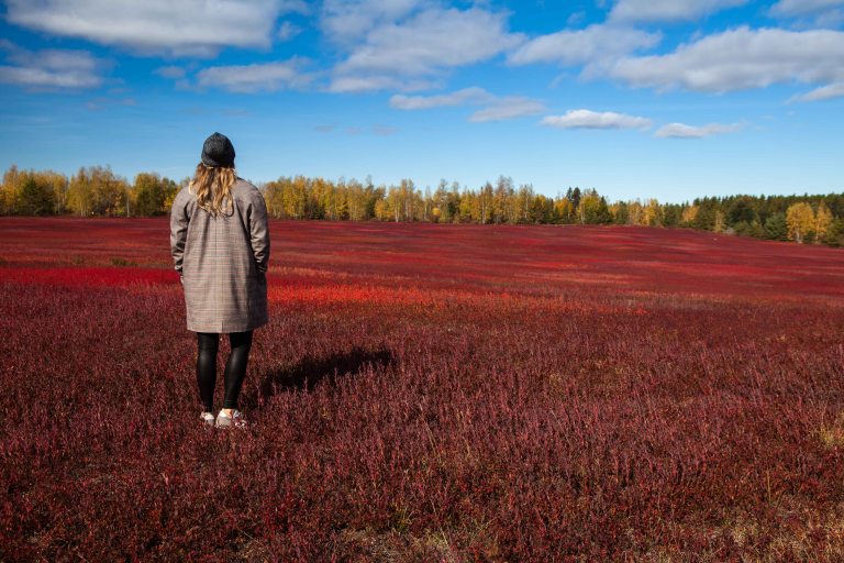 TAllen-2018-10-09-7529