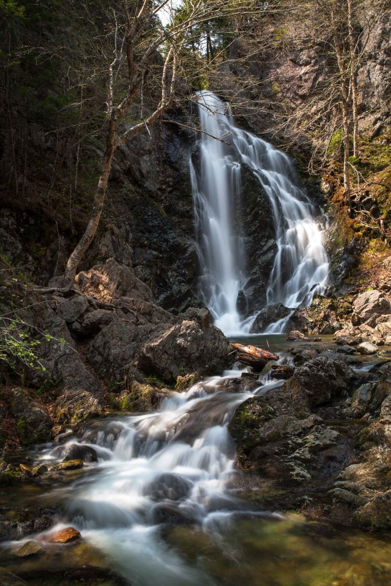 TAllen-2019-06-02-8014