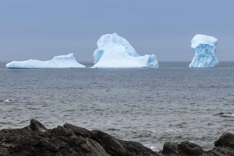 TAllen-2019-07-06-8507