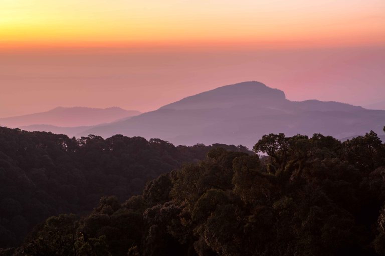 TAllen-2019-10-01-8728