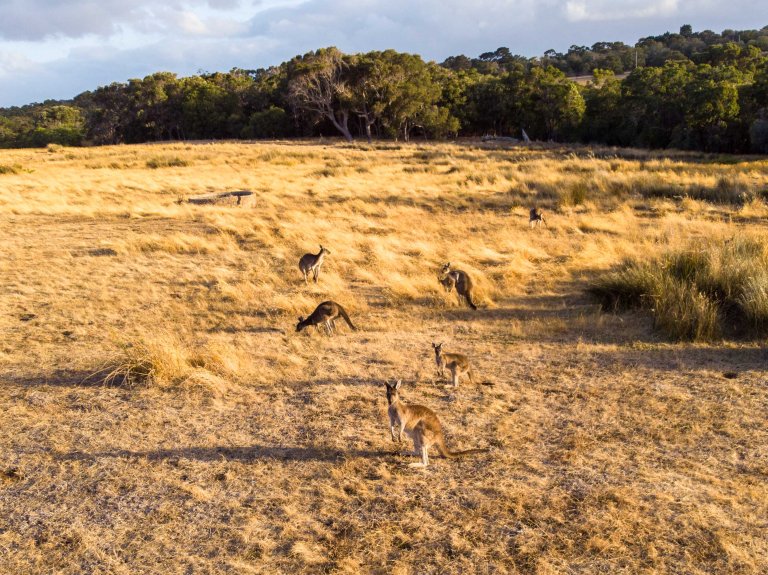 TAllen-2020-01-21-0066