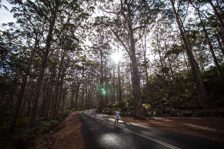 TAllen-2020-01-21-9388